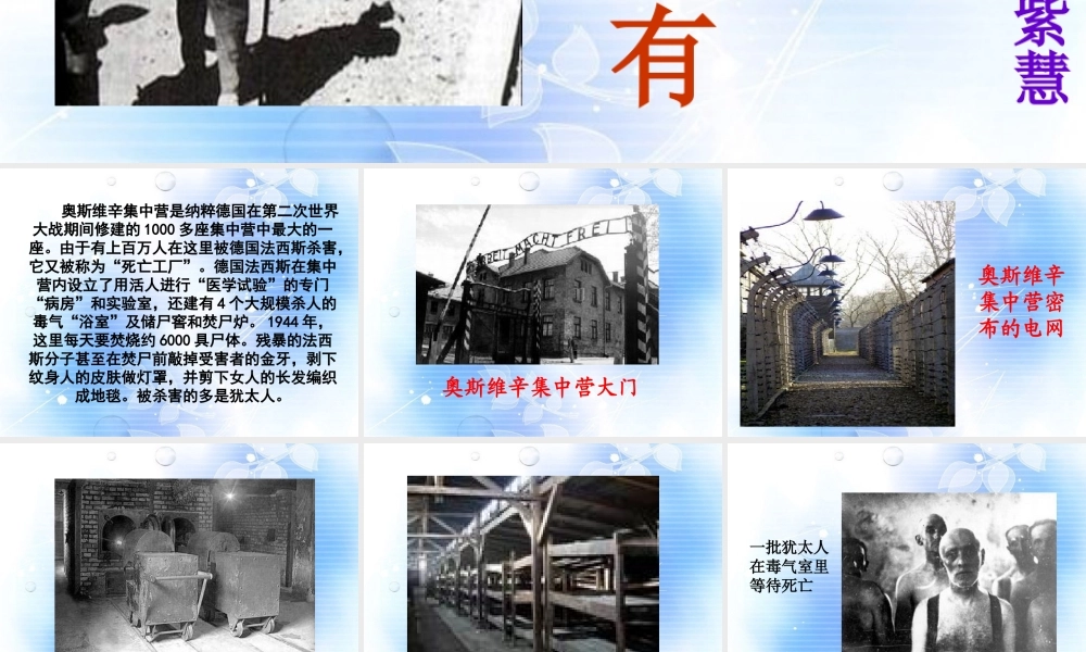 高中语文 第四单元第13课之奥斯维辛没有什么新闻课件 新人教版必修1 课件