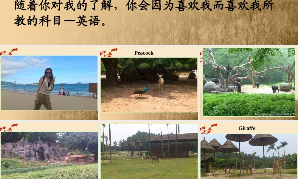 高中英语 Unit1 Getting along with others Changlong International Circus精品课件 牛津译林版必修5 课件