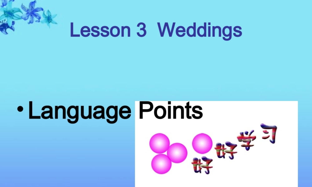 高一英语(unit 3 lesson 3 wedding 语言应用)课件