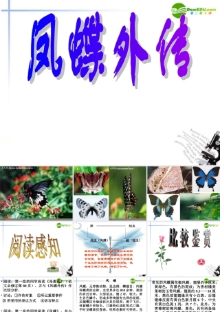 高中语文(凤蝶外传)课件 新人教版必修3 课件