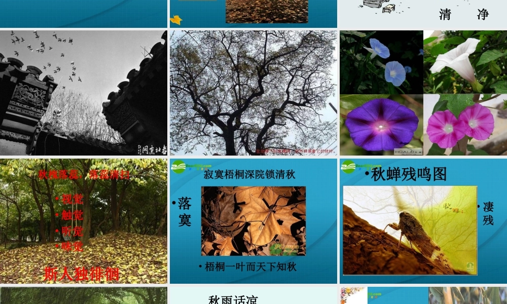 高中语文 第一单元之(故都的秋)课件 新人教版必修2 课件