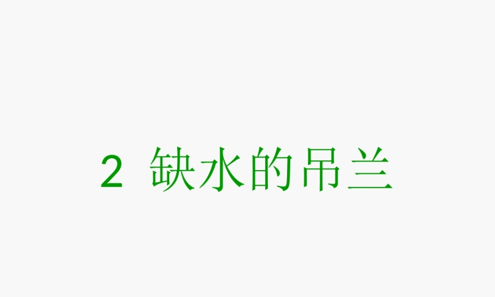 2缺水的吊兰