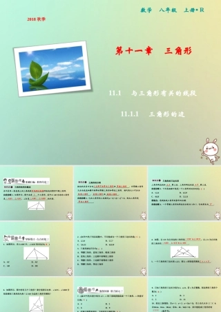 秋八年级数学上册 第11章 三角形 11.1 与三角形有关的线段 11.1.1 三角形的边课件 (新版)新人教版 课件