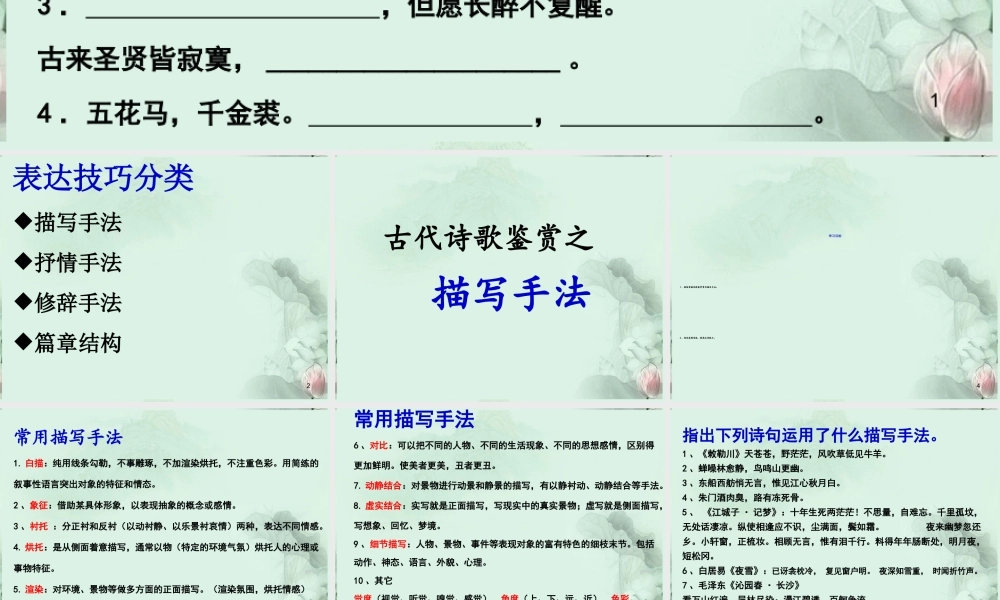 高考语文专题复习 诗歌鉴赏之描写手法课件 新人教版 课件