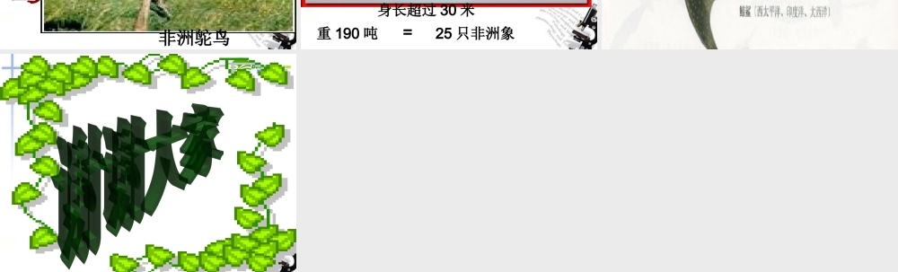 高中语文(自然)课件 鲁教版必修1 课件