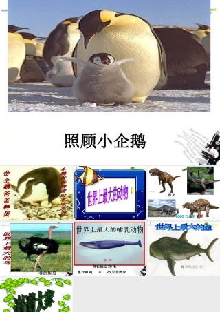 高中语文(自然)课件 鲁教版必修1 课件