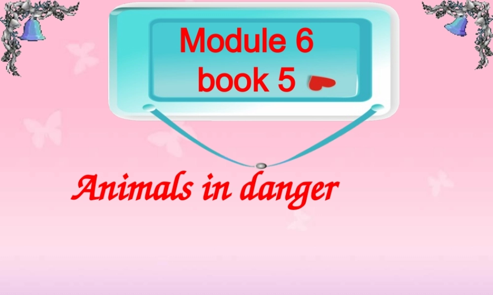 高中英语 Module 6 Reading精品课件 外研版必修5 课件