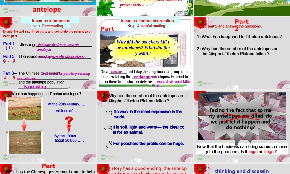 高中英语 Module 6 Reading精品课件 外研版必修5 课件