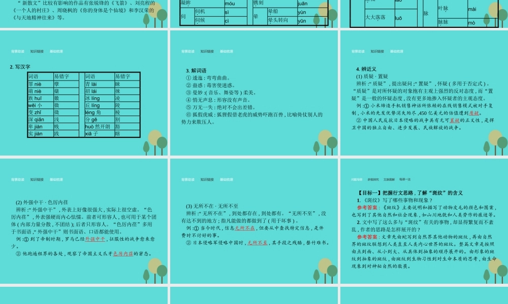 语文1.4斑纹课件苏教版必修5 课件