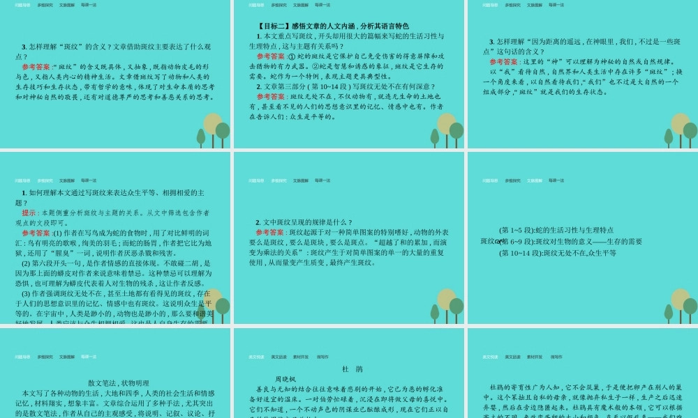 语文1.4斑纹课件苏教版必修5 课件
