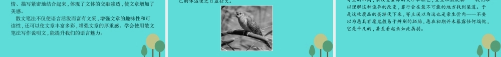 语文1.4斑纹课件苏教版必修5 课件