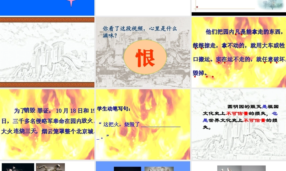 (上)《圆明园的毁灭》ppt