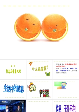 第一节信息与信息处理