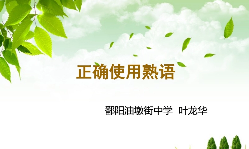 高考复习之正确使用熟语PPT 课件