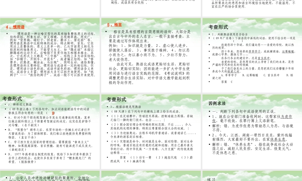 高考复习之正确使用熟语PPT 课件