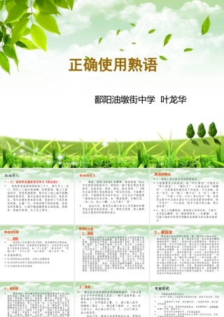 高考复习之正确使用熟语PPT 课件