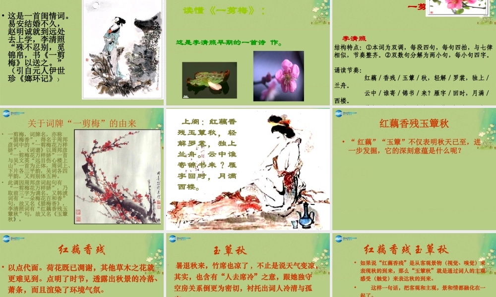 高中语文 一剪梅课件 新人教版必修5 课件