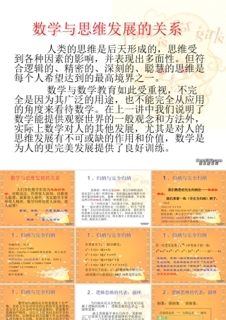 高中数学思想讲座 数学与思维发展的关系 新课标 人教版 课件