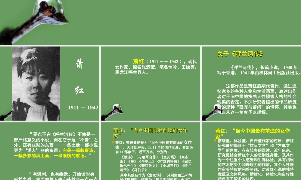 高中语文(呼兰河传)课件4 北京版选修2 课件