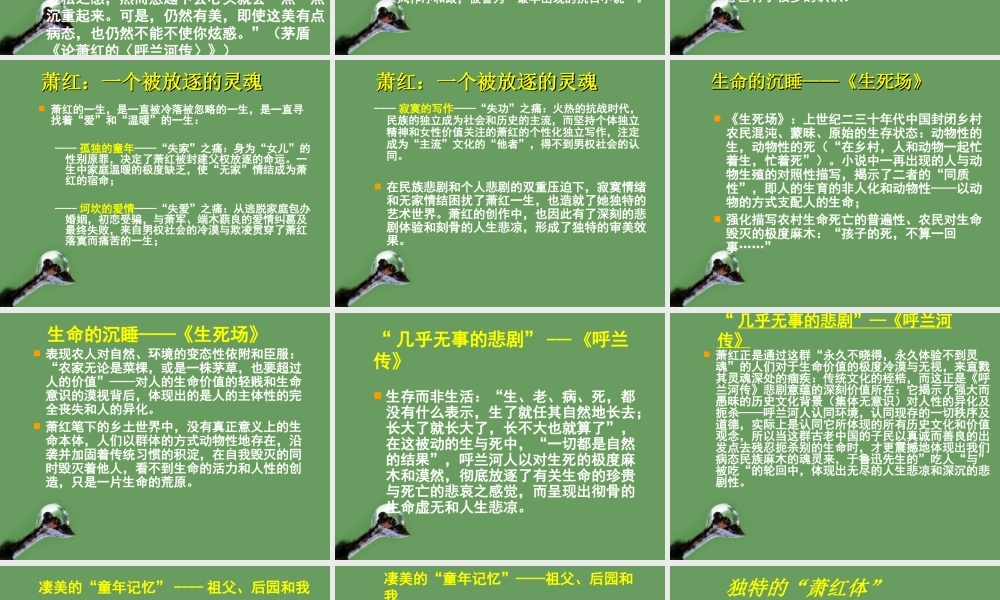 高中语文(呼兰河传)课件4 北京版选修2 课件