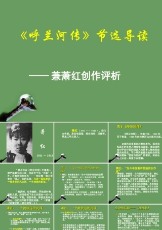 高中语文(呼兰河传)课件4 北京版选修2 课件