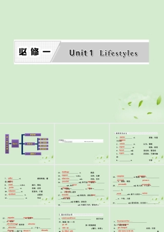 高考英语一轮复习 UUnit 1 Lifestyles课件 北师大版必修1 课件