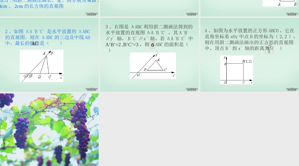 直观图的画法 江苏省高一数学斜二测画法[整理三套含flash课件]苏教版