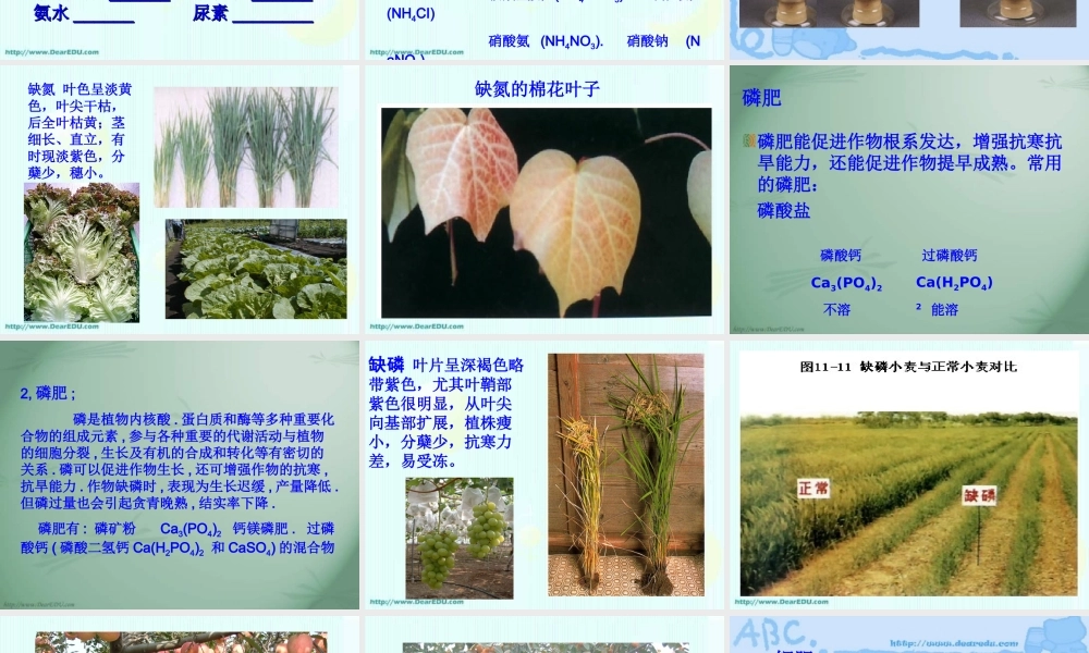 酸 碱 盐的应用 化学肥料 沪教版 课件