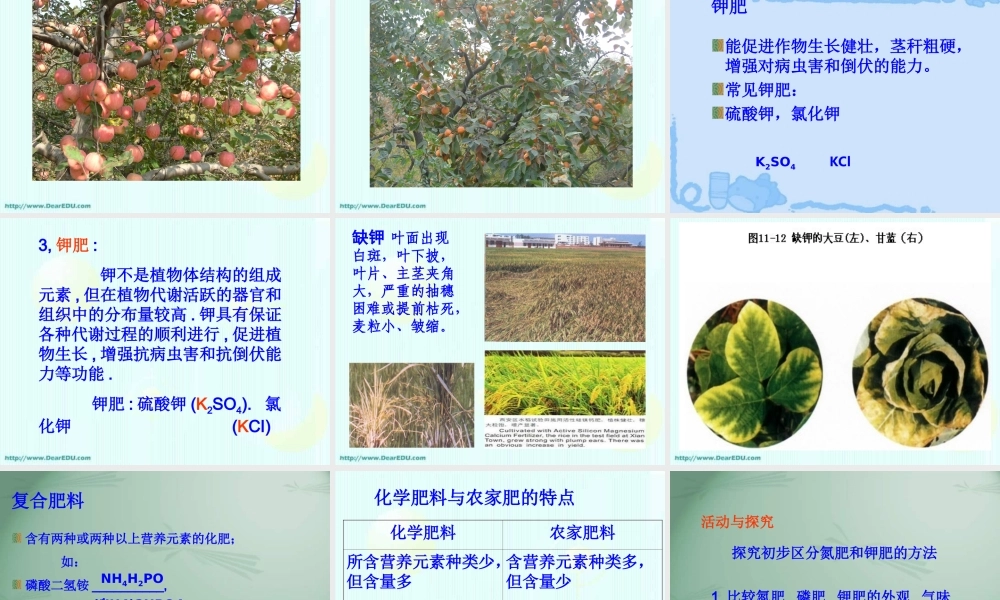 酸 碱 盐的应用 化学肥料 沪教版 课件