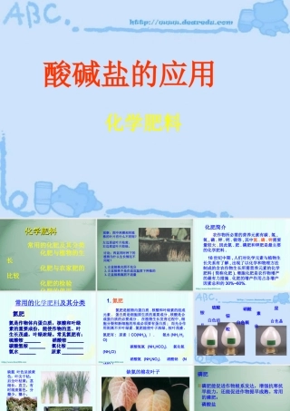 酸 碱 盐的应用 化学肥料 沪教版 课件