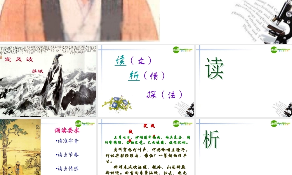 高中语文 第2单元第6课(定风波)课件 新人教版必修4 课件