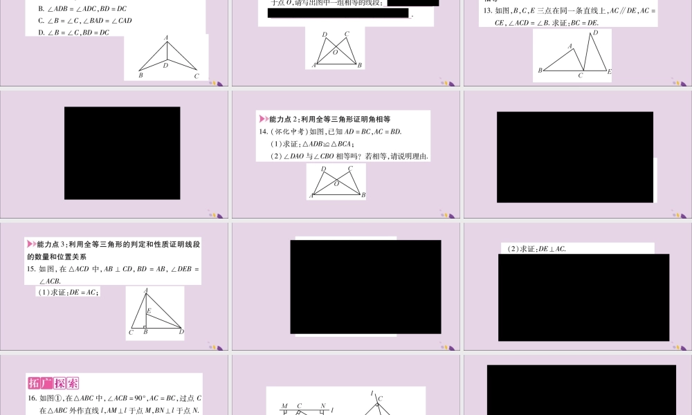 秋八年级数学上册 第十二章 全等三角形 12.2 三角形全等的判定 第3课时 三角形全等的判定(三)(ASA，AAS)习题课件 (新版)新人教版 课件