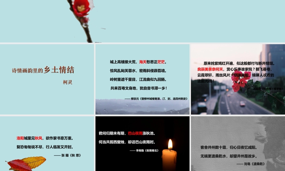 高中语文乡土情结课件 苏教版必修1 课件