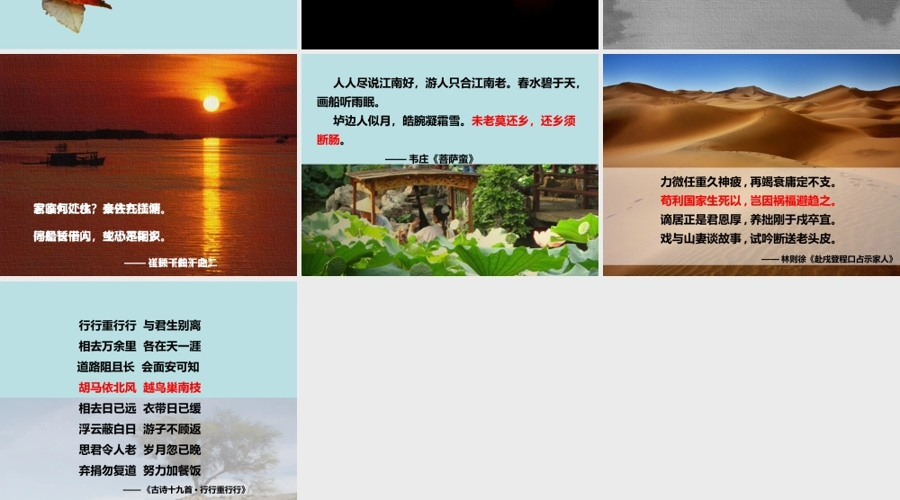 高中语文乡土情结课件 苏教版必修1 课件