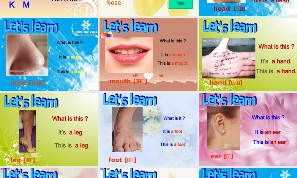 英语：Starter Module 2 Unit 2 Please touch your head课件(外研版七年级上) 课件