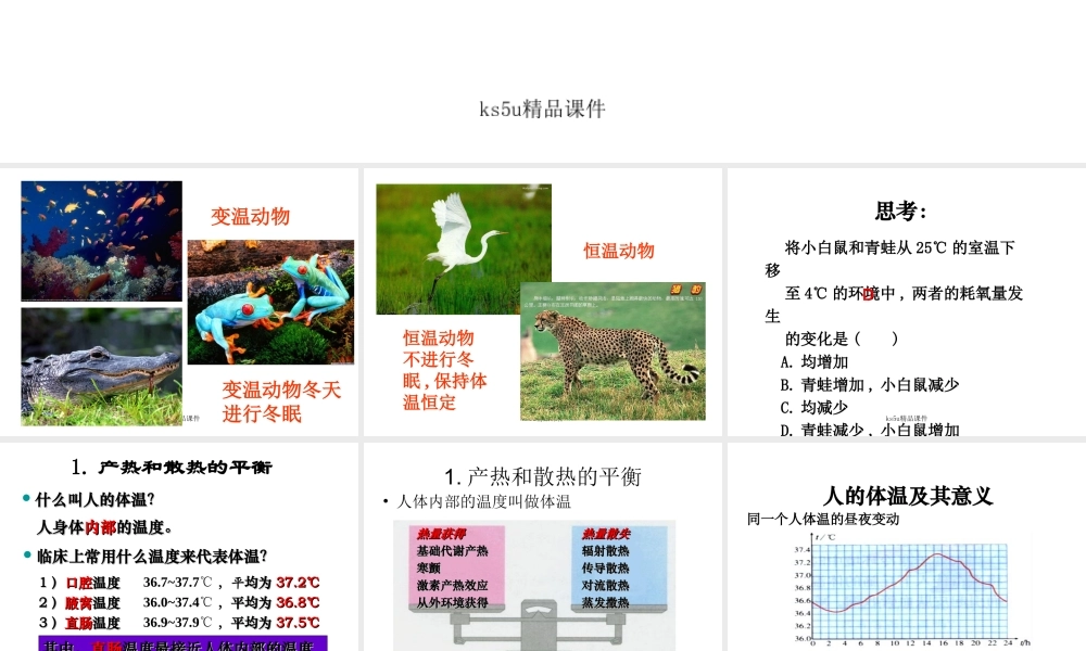 生物课件中图体温调节课件