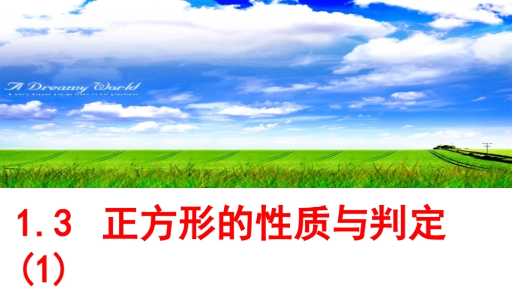 1.3.1正方形的性质