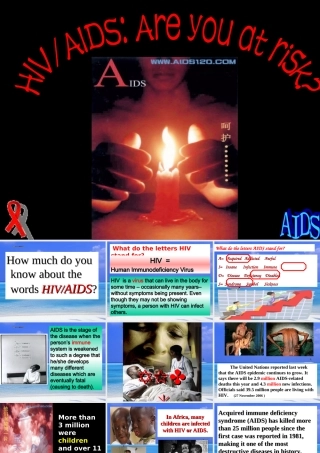 高中英语Unit 3 A Healthy Life-using language课件1 新课标 人教版 必修6 课件