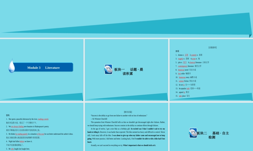 高考英语一轮复习 Module 3 Literature课件 外研版选修7 课件