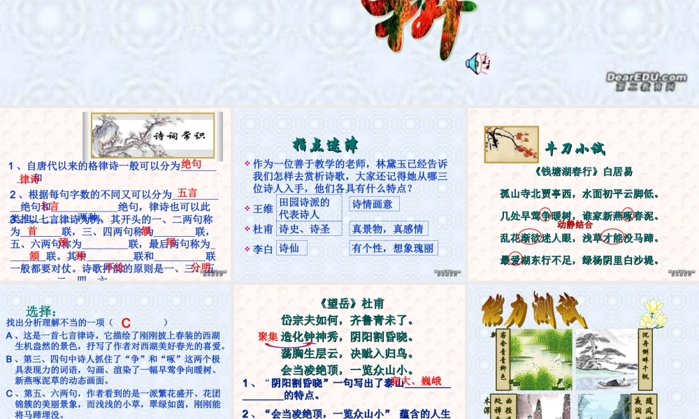 诗的赏析 中考语文必胜宝典课件集