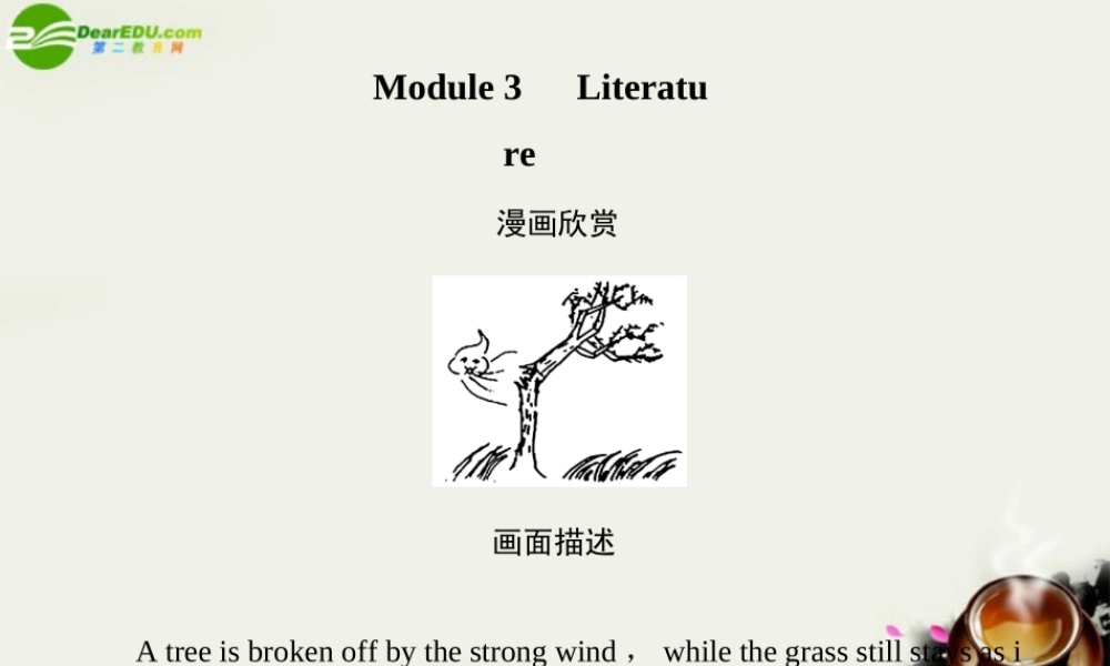 高考英语一轮复习 Module3课件 外研版选修7 课件