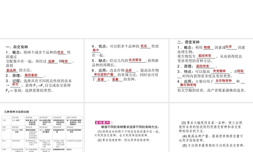 6.1《杂交育种与诱变育种》课件-杨明明