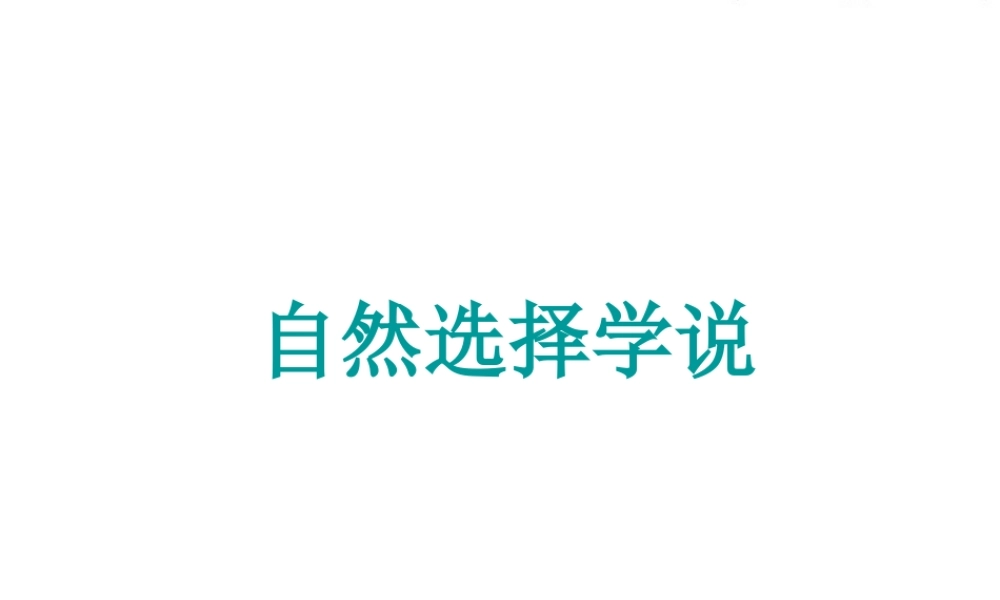 自然选择知识背景素材 八年级生物下册 第七单元 第三章 第三节 生物进化的原因备课素材 (新版)新人教版 八年级生物下册 第七单元 第三章 第三节 生物进化的原因备课素材 (新版)新人教版