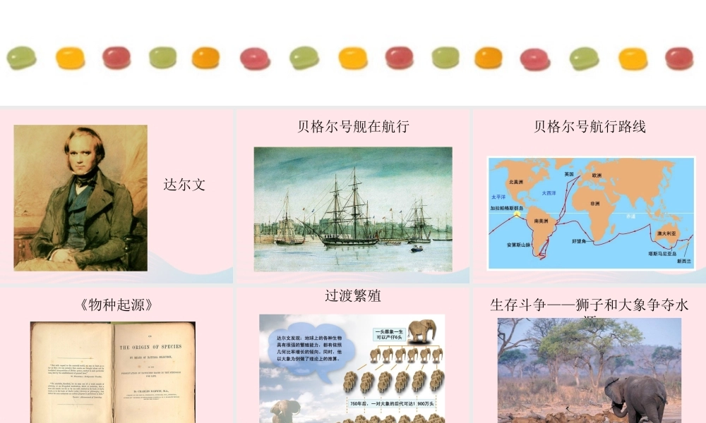 自然选择知识背景素材 八年级生物下册 第七单元 第三章 第三节 生物进化的原因备课素材 (新版)新人教版 八年级生物下册 第七单元 第三章 第三节 生物进化的原因备课素材 (新版)新人教版