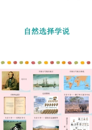自然选择知识背景素材 八年级生物下册 第七单元 第三章 第三节 生物进化的原因备课素材 (新版)新人教版 八年级生物下册 第七单元 第三章 第三节 生物进化的原因备课素材 (新版)新人教版