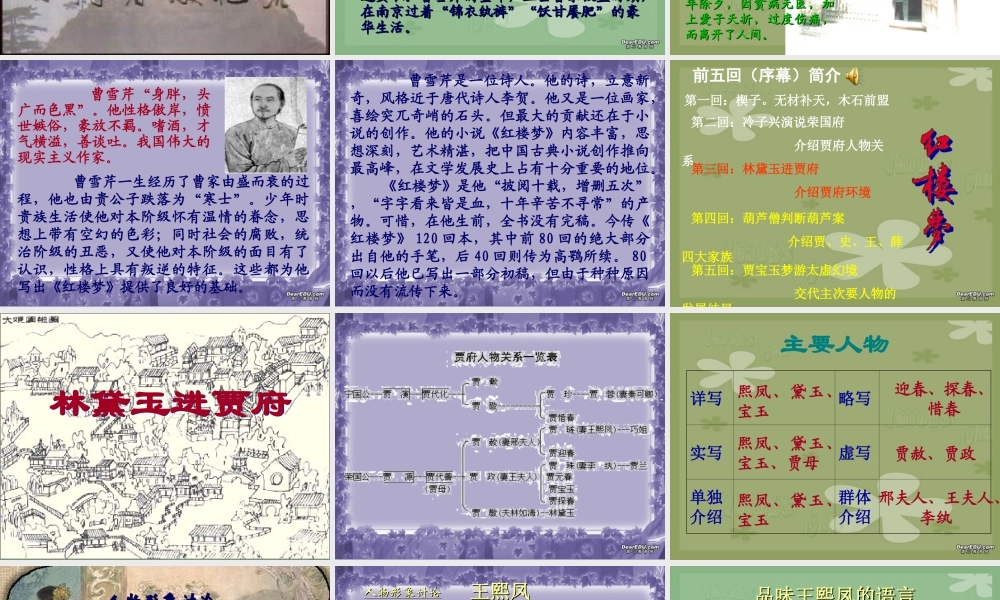 高中语文林黛玉进贾府教学课件 新课标 人教版 课件