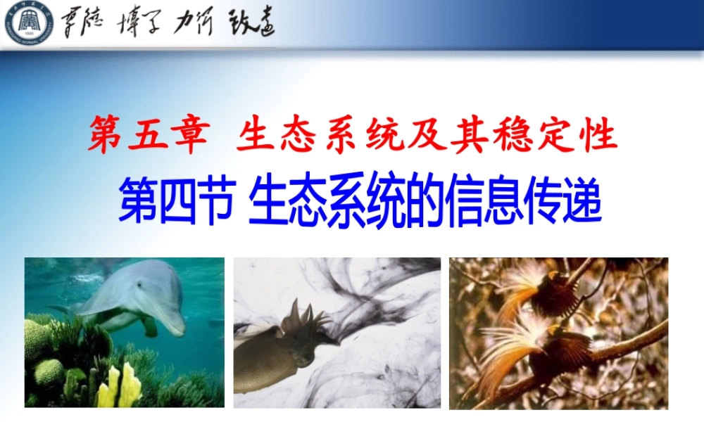生态系统的信息传递(林静)动画pptx新版本.p