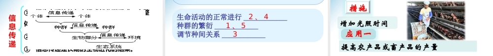 生态系统的信息传递(林静)动画pptx新版本.p