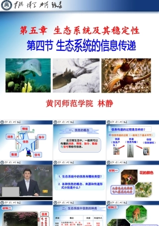 生态系统的信息传递(林静)动画pptx新版本.p