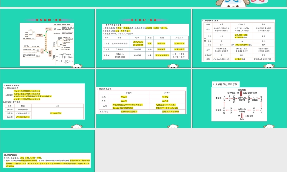 版七年级生物下册 第四单元 生物圈中的人 期末抢分必胜课 第一部分 第四单元 生物圈中的人 第四章 人体内物质的运输课件 新人教版 课件